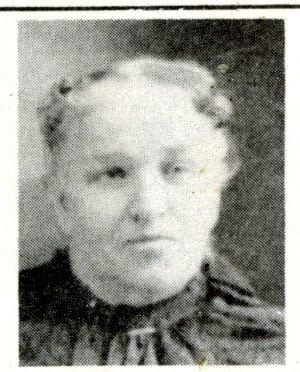Sarah Ann Olpin (1844 - 1921) Profile